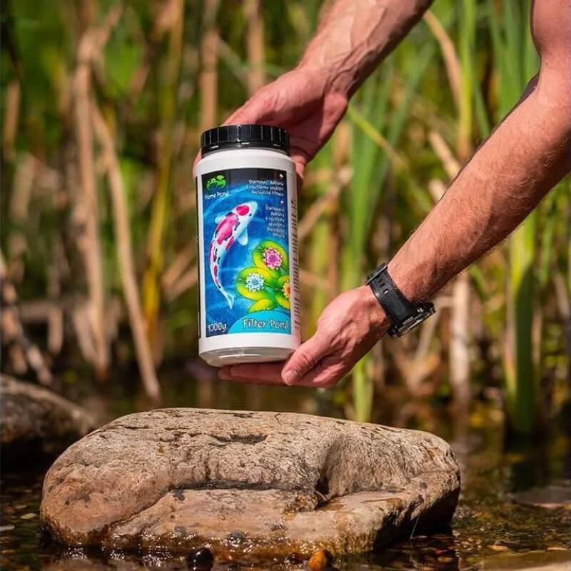 Filter Pond